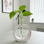 Planters AK-016