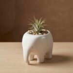 Trunk Planter