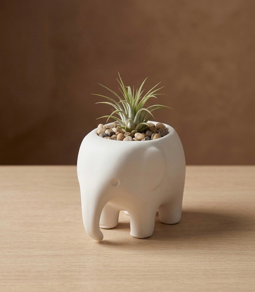 IMG_5127 Trunk Planter - Image 1