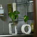 Test Tube Planter Set 011