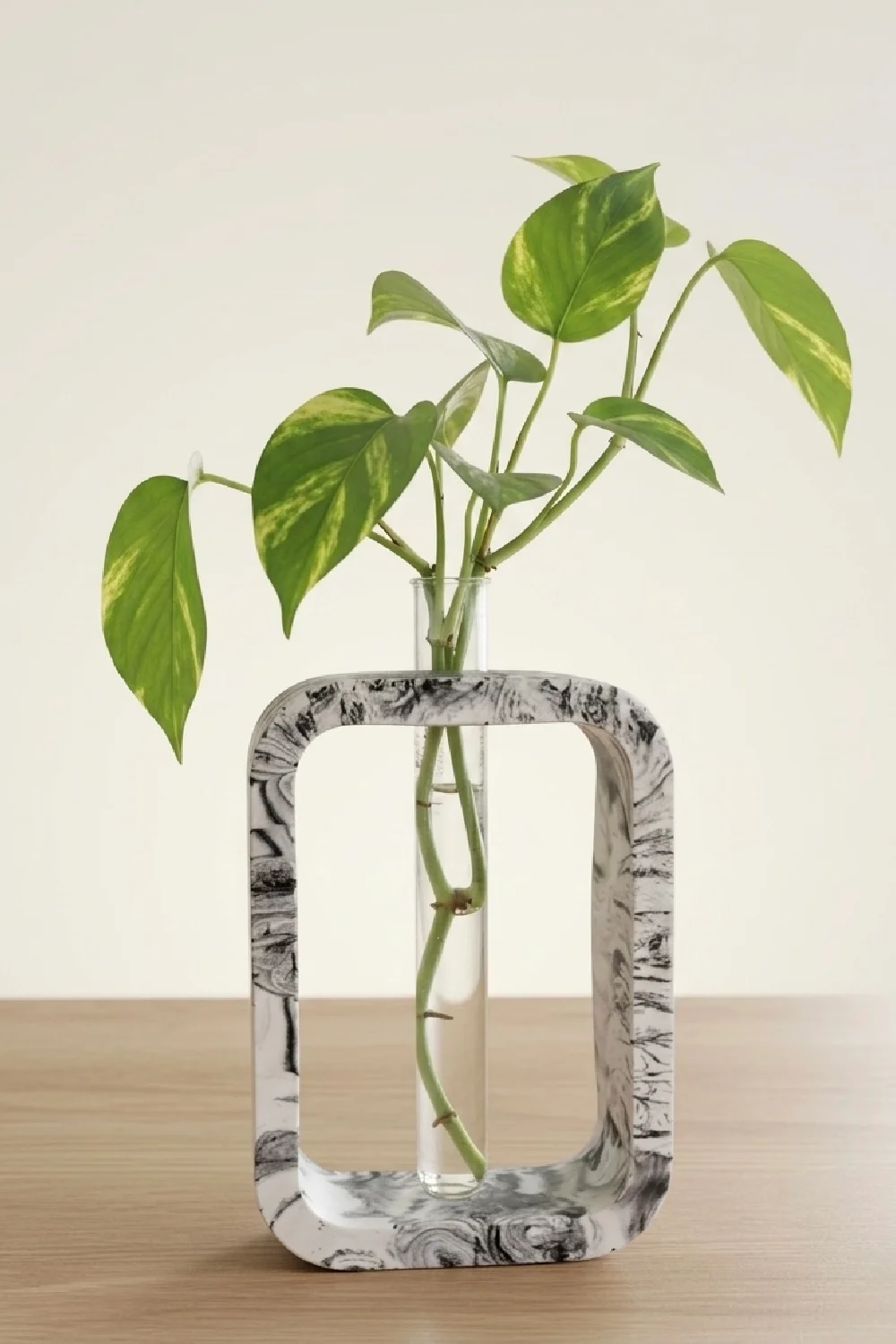 Planters AK-016 Planters AK-016 - Image 1